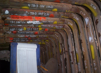 Project Leads / Inspectors